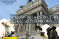 1.Análisis de la estructura del sector vacuno