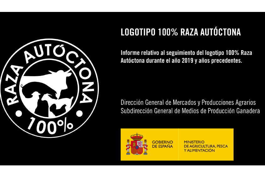 INFORME LOGOTIPO 2019