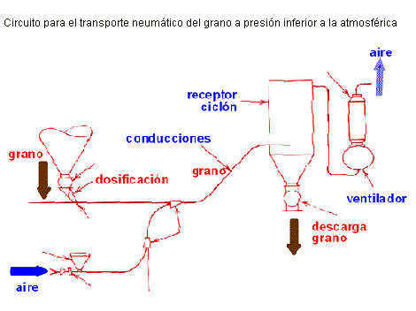 transp-grano4