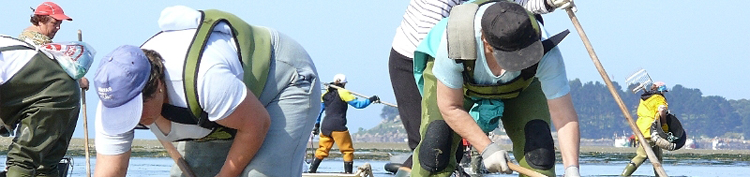 Mariascadoras trabajando en la Ría de Noia