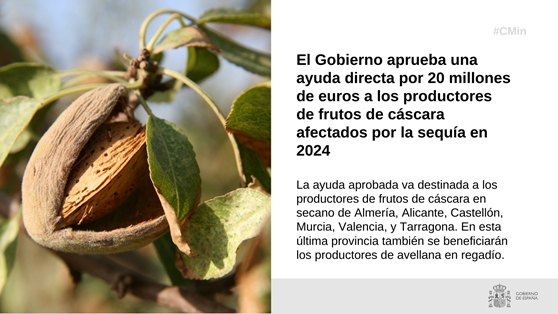 Hoy, en Consejo de Ministros 