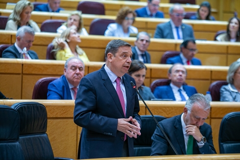 Hoy, en el pleno del Senado 