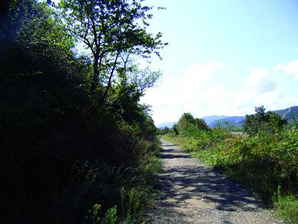 Sendero hacia la estación de tren de Ojacastro