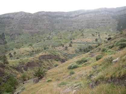 Monumento Natural del Lomo del Carretón