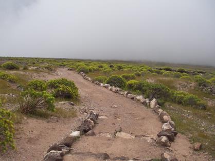 Aspecto del camino por los llanos de la Merica