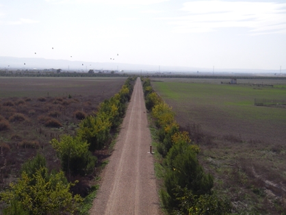 Paisaje agrícola típico en primera parte del Camino Natural