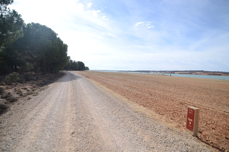 Section of the trail between pine trees and the Alarcón reservoir