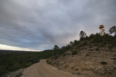 The road passes under a forestry watchtower