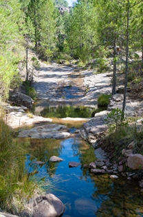 Pedregoso Stream passing next to the Nature Trail