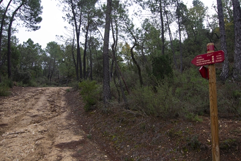 The road leaves the valley and begins a demanding climb