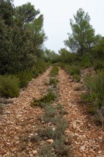 Stony stretch on stage 7 of the Júcar Nature Trail