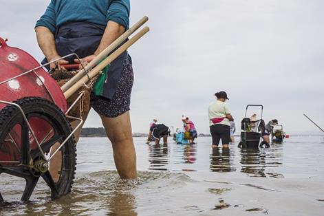 Mariscadoras de la localidad de Cambados