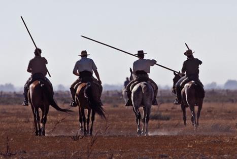 Doñana . Autor: José Mª Pérez de Ayala 