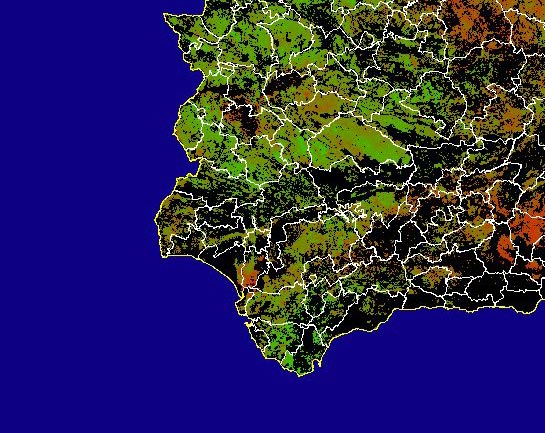 Imagen de NDVI medio secano: Índices de vegetación medios del mes para las zonas de cultivos de secano y pastizales - Suroeste