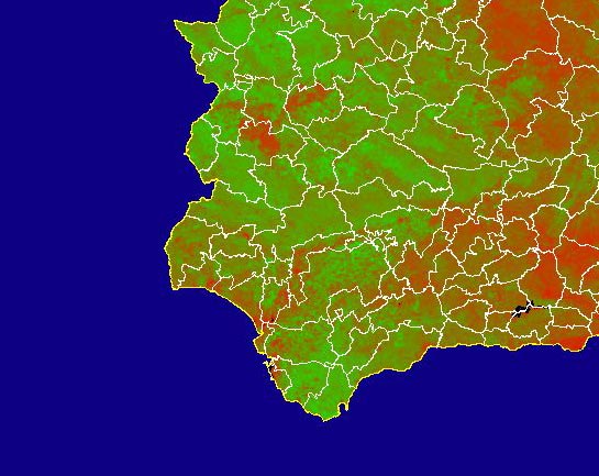 Imagen de NDVI medio mensual: Índices de vegetación medios del mes - Suroeste