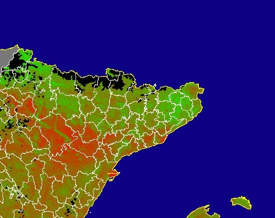 Imagen del NDVI medio mensual: Índices de vegetación medios del mes