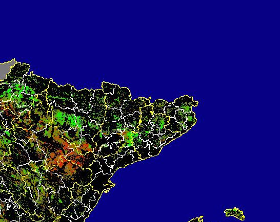 Imagen de Diferencias NDVI: Comparativa entre los índices de vegetación del mes de Enero del año actual y los de la media histórica - Noreste