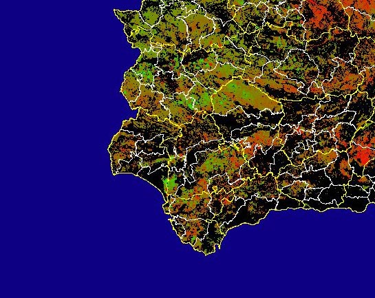 Imagen de Diferencias NDVI: Comparativa entre los índices de vegetación del mes de Febrero del año actual y los de la media histórica - Suroeste