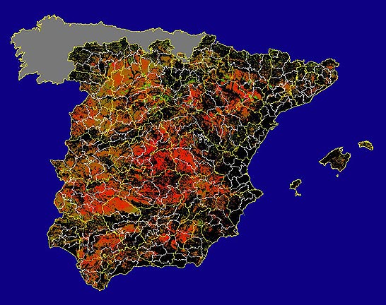 Imagen de las Diferencias NDVI: Comparativa entre los índices de vegetación del mes de Junio del año actual y los de la media histórica