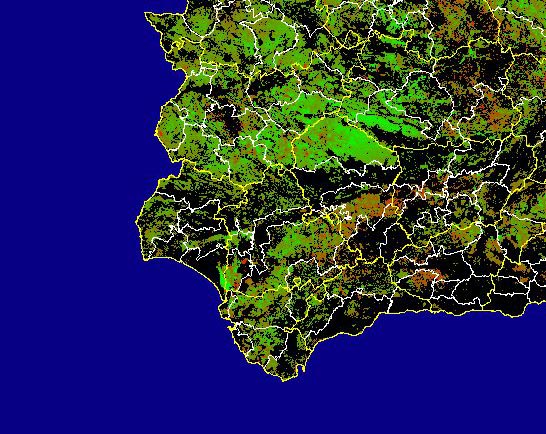 Imagen de Diferencias NDVI: Comparativa entre los índices de vegetación del mes de Mayo del año actual y los de la media histórica