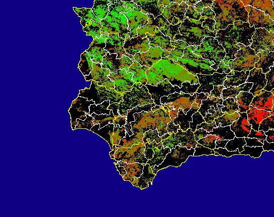 Imagen de Diferencias NDVI: Comparativa entre los índices de vegetación del mes de Mayo del año actual y los de la media histórica