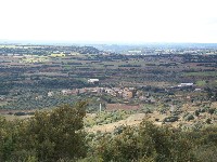 Típico mosaico del paisaje del Somontano, en segundo plano, la población de Radiquero