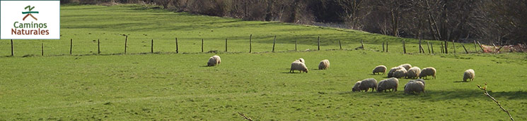 Camino Natural del Plazaola. Tramo Imotz