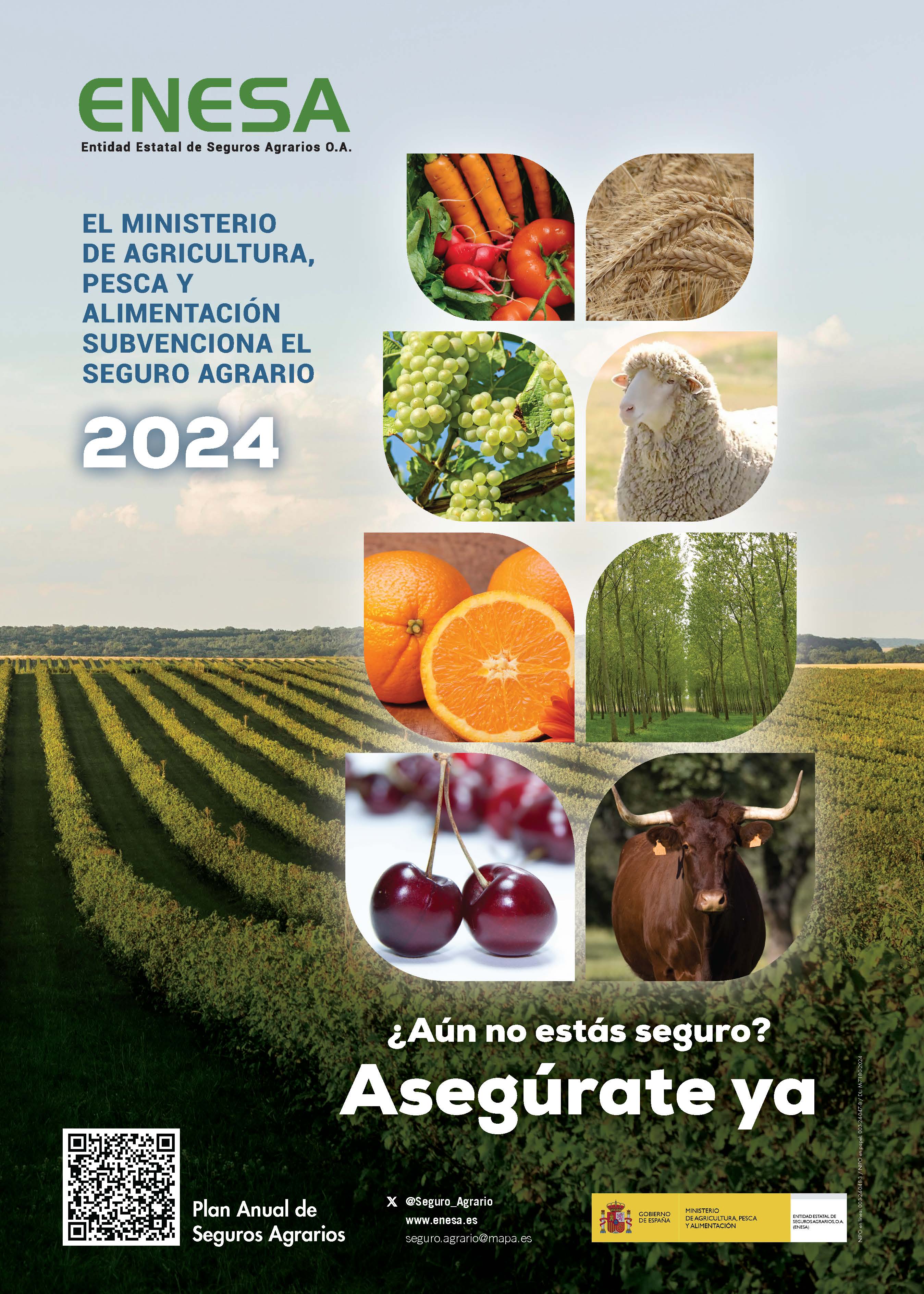 CARTEL SEGUROS AGRARIOS 2024 v2