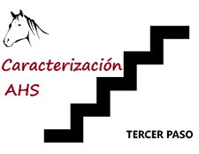 Caracterización AHS