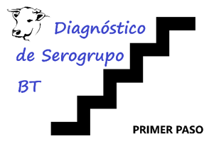 Diagnóstico BT Primer paso