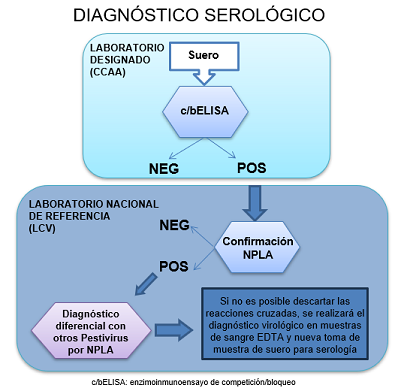 Diagnóstico serológico