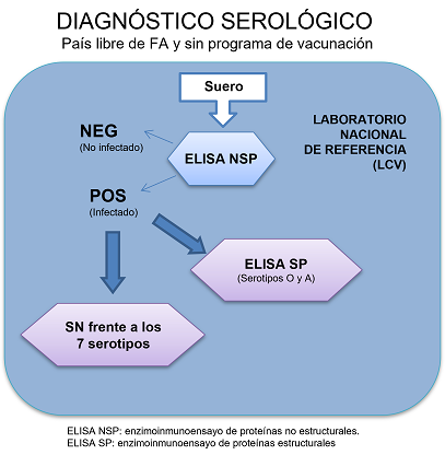 Diagnóstico serológico