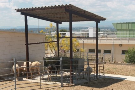 Zona de animalario al aire libre