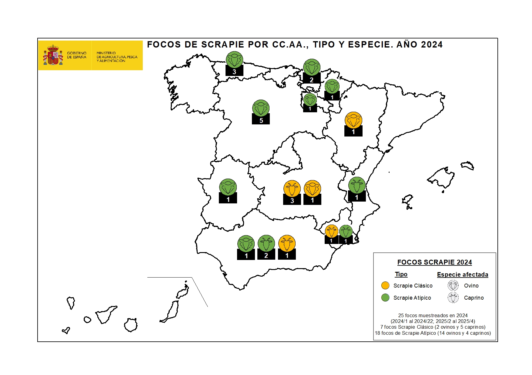 Focos Scrapie 2024