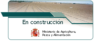 Imagen de web en construccion