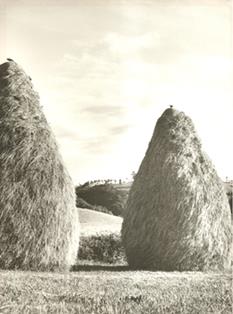 Almiar. Heras (Santander).1954. Autor: Juan Dolcet Santos