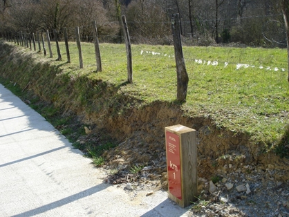 Prados colindantes al camino