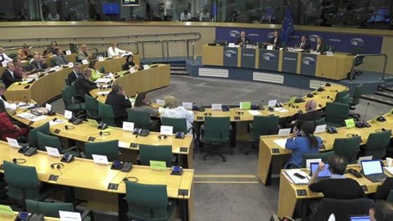 Hoy, durante su comparecencia ante la Comisión de Pesca del Parlamento Europeo foto 2
