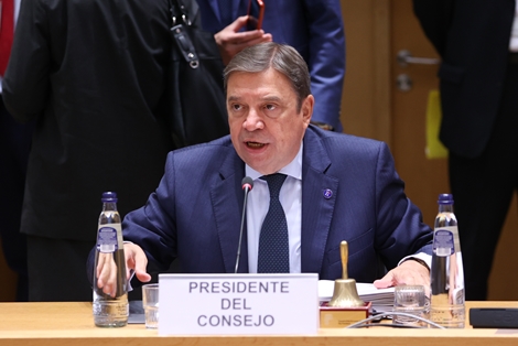 Hoy, en Bruselas foto 5