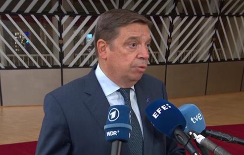 Hoy, en Bruselas foto 10