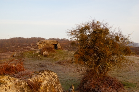 Dolmen megalítico de Busnela