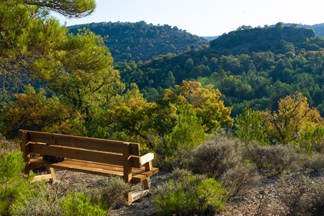 Banco en vistas panorámicas del Camino Natural