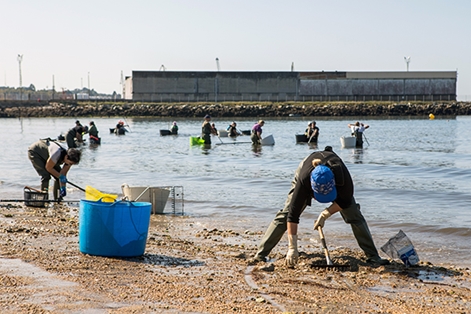 Mariscadoras en la localidad de Vilagarcía de Arousa