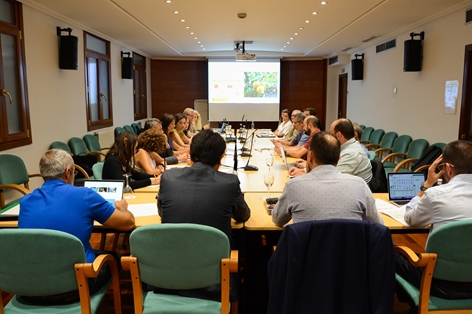 Durante la reunión de la mesa del sector citrícola foto 6