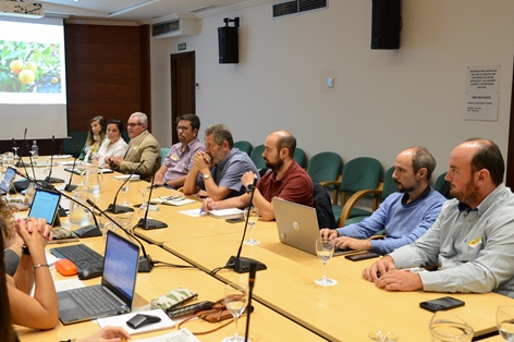 Durante la reunión de la mesa del sector citrícola foto 3