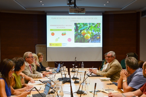 Durante la reunión de la mesa del sector citrícola foto 4