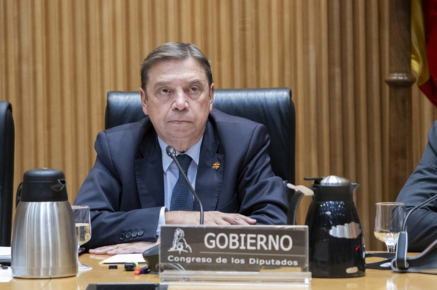 
				
			
				Hoy, en una comparecencia en el Congreso de los Diputados 
			
				