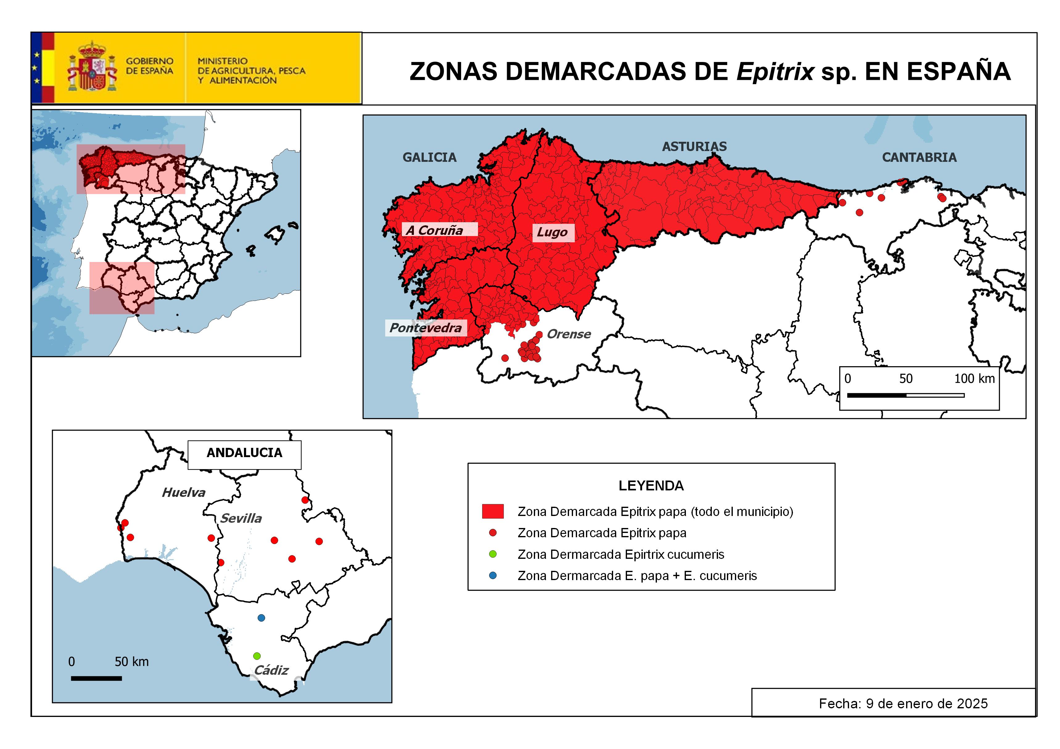 ZD Spain Epitrix papa 2019