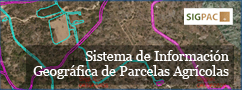 Enlace al Sistema de Información Geográfica de Parcelas Agrícolas (SIGPAC)