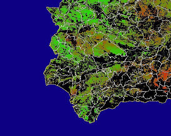 Imagen de NDVI medio secano: Índices de vegetación medios del mes para las zonas de cultivos de secano y pastizales - Suroeste